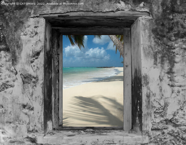 WINDOW ON PARADISE Picture Board by CATSPAWS 