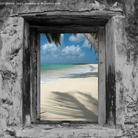 Buy canvas prints of WINDOW ON PARADISE by CATSPAWS 