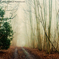 Buy canvas prints of GHOST PATH by CATSPAWS 