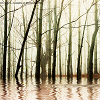 Buy canvas prints of GHOST TREES by CATSPAWS 