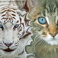 Buy canvas prints of DUAL PURRSONALITY by CATSPAWS 