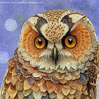 Buy canvas prints of PRETTY OWL by CATSPAWS 