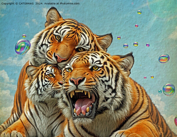TREBLE TIGER TROUBLE Picture Board by CATSPAWS 