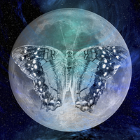 Buy canvas prints of MOON BUTTERFLY by CATSPAWS 
