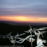 Buy canvas prints of Barbwire Sunset by David  Fennings