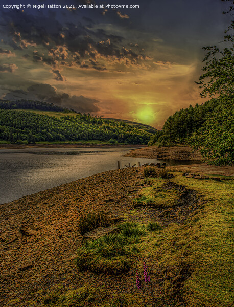  Early Morning At Derwent Reservoir Picture Board by Nigel Hatton