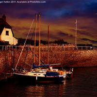 Buy canvas prints of Harbour Safe by Nigel Hatton