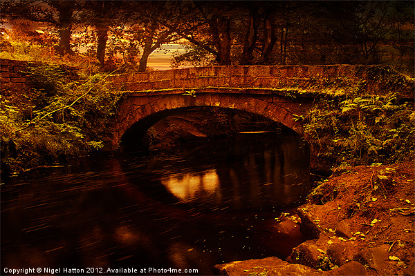 Evening at Rivelin Picture Board by Nigel Hatton