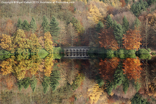 Autumn in Derwent Picture Board by Nigel Hatton