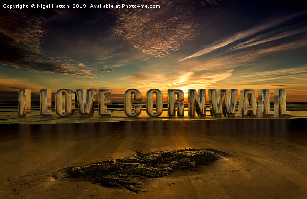 I Love Cornwall Picture Board by Nigel Hatton