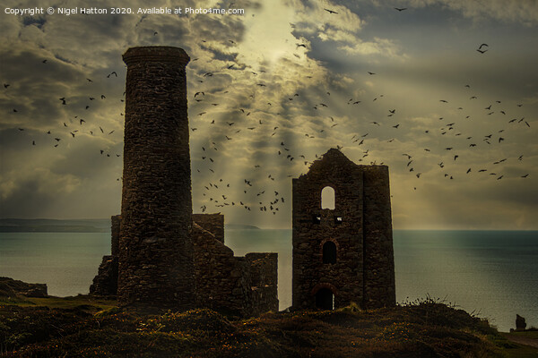 Wheal Coats Tin Mine Picture Board by Nigel Hatton