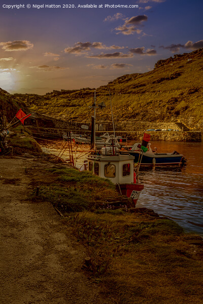 Boscastle Harbour At Sunset Picture Board by Nigel Hatton