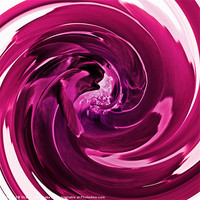 Buy canvas prints of Raspberry swirl by Sharon Lisa Clarke