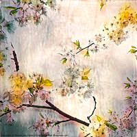 Buy canvas prints of Retro Summer Blossom by Sharon Lisa Clarke