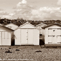 Buy canvas prints of Beach Huts by Sharon Lisa Clarke