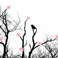 Buy canvas prints of Silhouettes and blossoms by Sharon Lisa Clarke