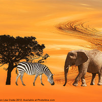 Buy canvas prints of African Safari by Sharon Lisa Clarke