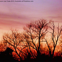 Buy canvas prints of Crimson treetops by Sharon Lisa Clarke