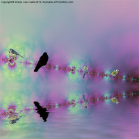 Buy canvas prints of Birds on a wire - reflected by Sharon Lisa Clarke
