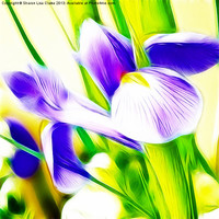 Buy canvas prints of Fractalius Iris by Sharon Lisa Clarke