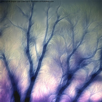 Buy canvas prints of Mystic trees by Sharon Lisa Clarke