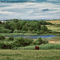 Buy canvas prints of Combe Haven Valley by Sharon Lisa Clarke