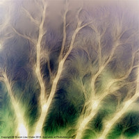 Buy canvas prints of Mystic trees inverted by Sharon Lisa Clarke