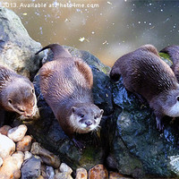 Buy canvas prints of Otters by Sharon Lisa Clarke