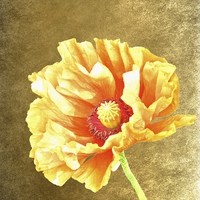 Buy canvas prints of Golden Poppy by Sharon Lisa Clarke