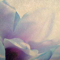 Buy canvas prints of Antique blue by Sharon Lisa Clarke