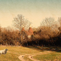 Buy canvas prints of Rural England by Sharon Lisa Clarke