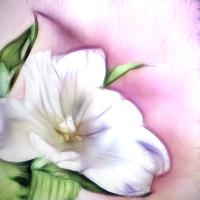 Buy canvas prints of Fractalius Tulip by Sharon Lisa Clarke