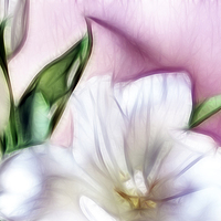 Buy canvas prints of Fractalius Tulips 3 by Sharon Lisa Clarke
