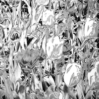 Buy canvas prints of Chrome garden by Sharon Lisa Clarke