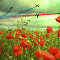 Buy canvas prints of  Remembrance  by Sharon Lisa Clarke