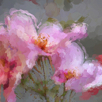 Buy canvas prints of Oriental bloom by Sharon Lisa Clarke