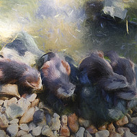 Buy canvas prints of Fur Babies by Sharon Lisa Clarke
