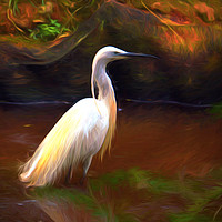 Buy canvas prints of Egret painting by Sharon Lisa Clarke