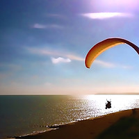 Buy canvas prints of Gliding by Sharon Lisa Clarke