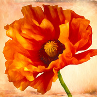 Buy canvas prints of Aunties Poppy by Sharon Lisa Clarke