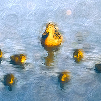 Buy canvas prints of Ten little ducks by Sharon Lisa Clarke