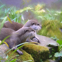 Buy canvas prints of Otter duo by Sharon Lisa Clarke