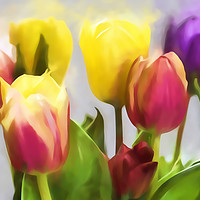 Buy canvas prints of Tulip Haze by Sharon Lisa Clarke
