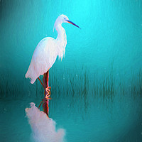 Buy canvas prints of Egret in teal by Sharon Lisa Clarke