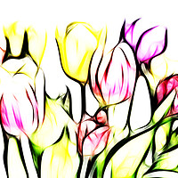 Buy canvas prints of Tulip Brights by Sharon Lisa Clarke