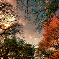 Buy canvas prints of Autumn storms by Sharon Lisa Clarke