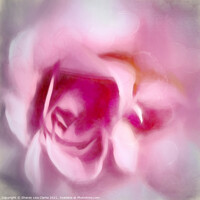 Buy canvas prints of Rose Melts by Sharon Lisa Clarke