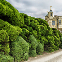 Buy canvas prints of Audley End House by Pierre TORNERO