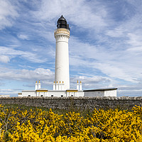 Buy canvas prints of Lossiemouth Covesea Lighthouse   by Scott K Marshall