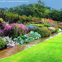 Buy canvas prints of Herbaceous border after rain. by Laura Jarvis